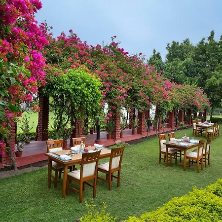 Naturoville Ayurvedic And Yoga Retreat Hotel Rishikesh Luaran gambar