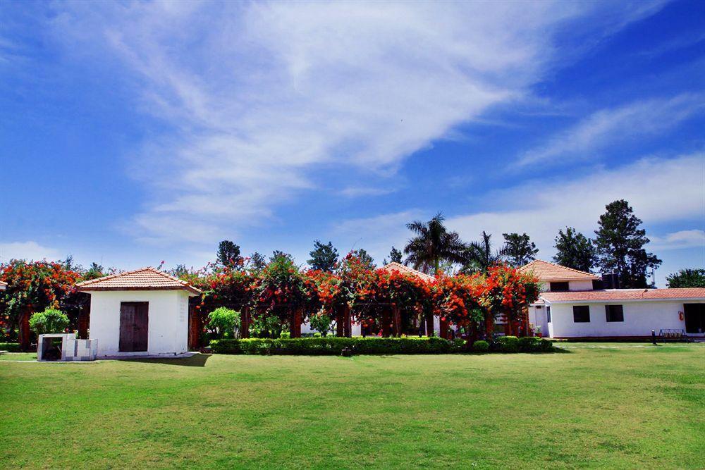 Naturoville Ayurvedic And Yoga Retreat Hotel Rishikesh Luaran gambar