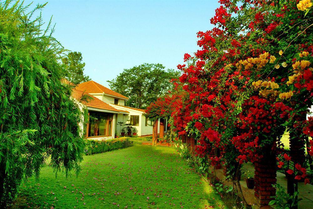 Naturoville Ayurvedic And Yoga Retreat Hotel Rishikesh Luaran gambar