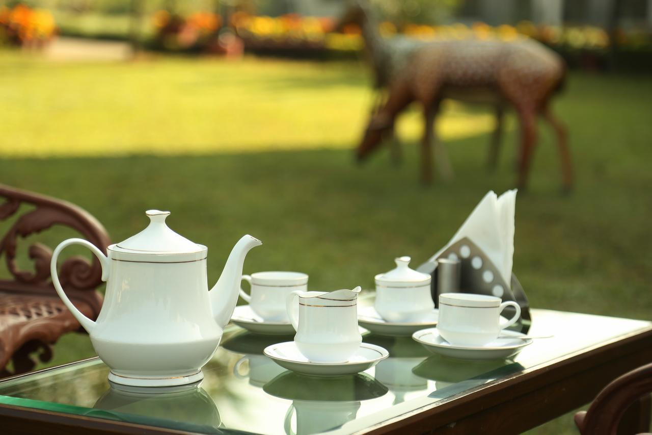 Naturoville Ayurvedic And Yoga Retreat Hotel Rishikesh Luaran gambar