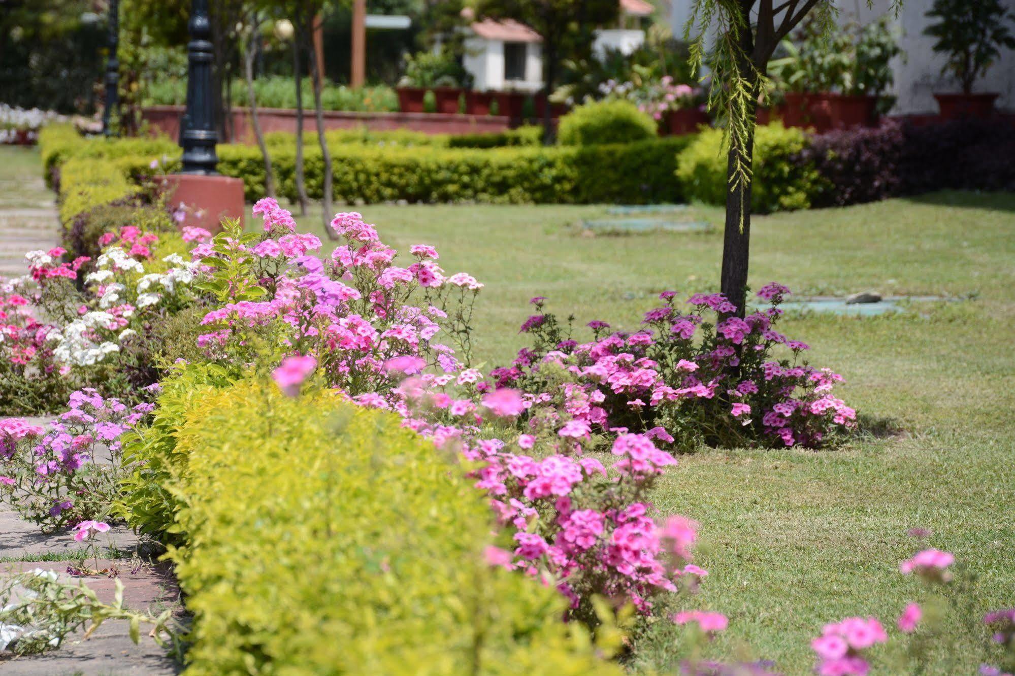 Naturoville Ayurvedic And Yoga Retreat Hotel Rishikesh Luaran gambar