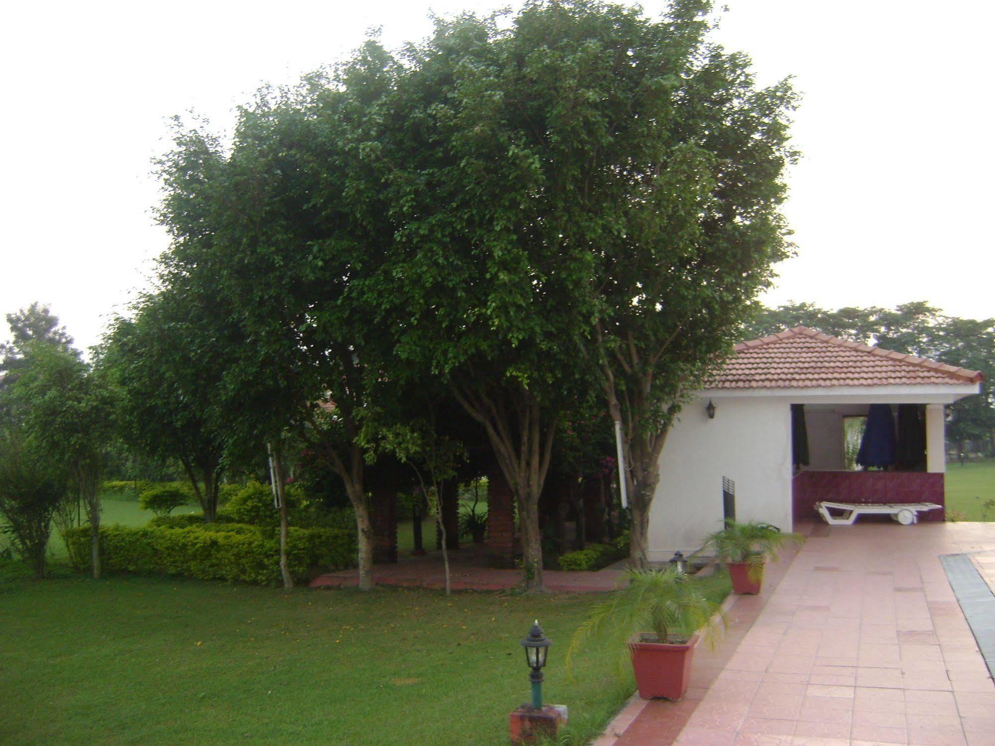 Naturoville Ayurvedic And Yoga Retreat Hotel Rishikesh Luaran gambar