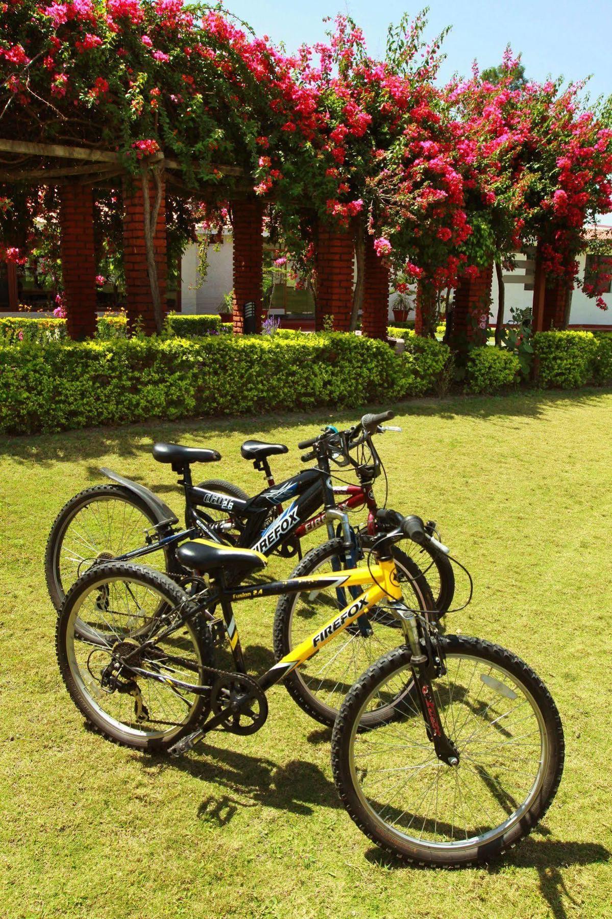 Naturoville Ayurvedic And Yoga Retreat Hotel Rishikesh Luaran gambar