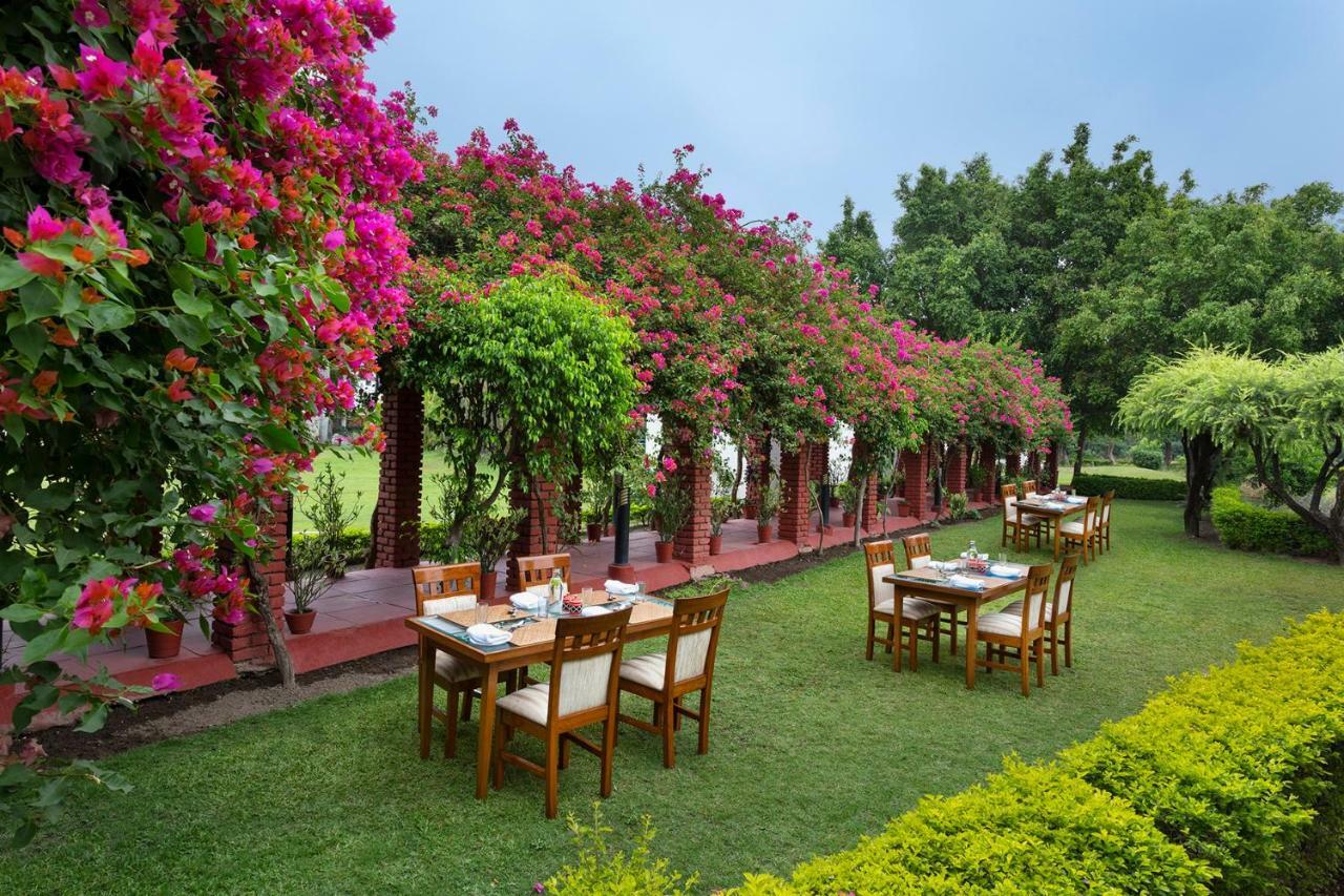 Naturoville Ayurvedic And Yoga Retreat Hotel Rishikesh Luaran gambar